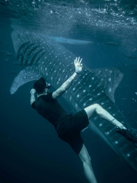 Philippines Travel Itinerary 3 Weeks: Snorkeling with whale sharks in Cebu's clear waters