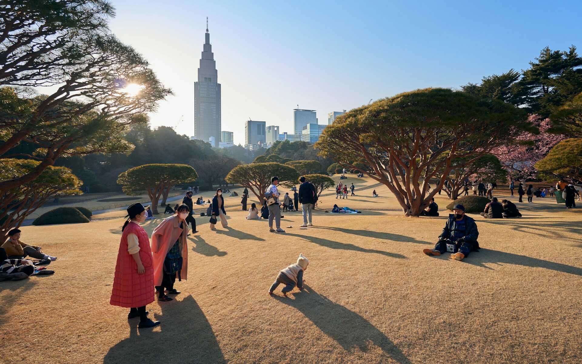 Things to Do in Tokyo City - Relaxing at Shinjuku Gyoen
