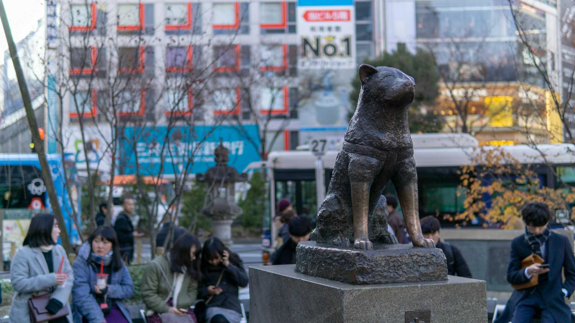 Things to Do in Tokyo City - Visiting the Hachiko Statue