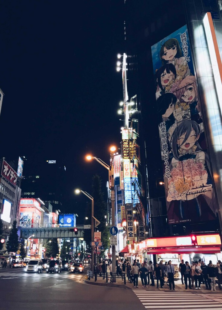 Things to Do in Tokyo City - Exploring Otaku World in Akihabara